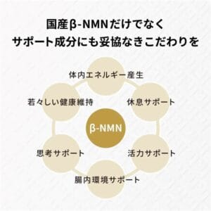 Yoando NMN 90000 active ingredient synergy including CoQ10 PQQ and L-Theanine