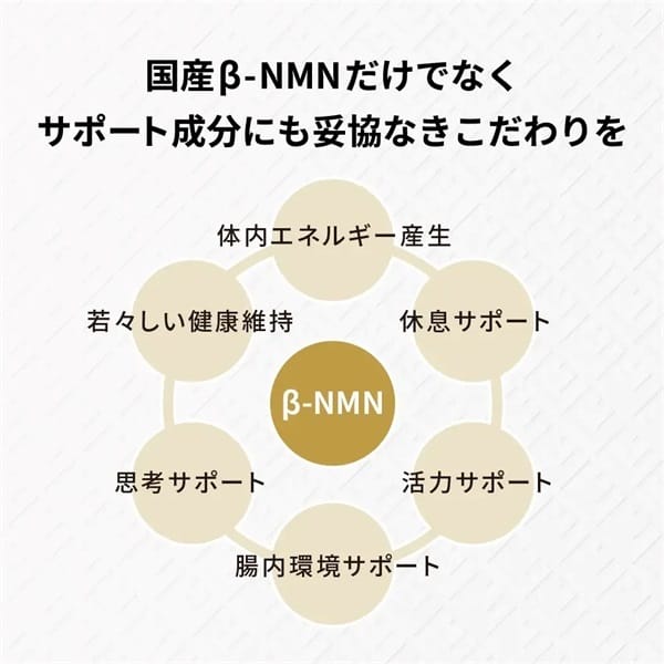 Yoando NMN 90000 active ingredient synergy including CoQ10 PQQ and L-Theanine